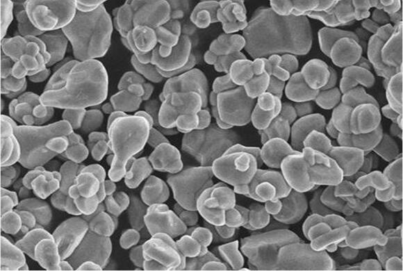 LCO-204.jpg LCO-204.jpg